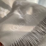 Louis Vuitton Reykjavik Scarf Grey 180Cm M78909 - Image 4