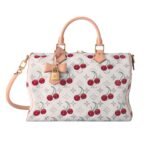 Louis Vuitton X Takashi Murakami Monogram Cerise Speedy 30 White 30Cm M14238