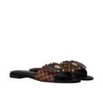 Louis Vuitton Lv Frame Flat Mule Cacao Brown 1Ahlr3