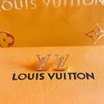 Louis Vuitton Lv Iconic Earrings Gold M00743 - Image 3
