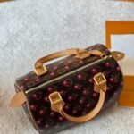 Louis Vuitton X Takashi Murakami Monogram Cerise Speedy 25 Gold Hardware Brown 25Cm - Image 6