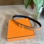 Summer Set: Hermes Garden Party 30 Handbag Canvas Orange And Belt Togo Swift Gold Buckle Brown - Image 5