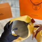 Hermès Bride A Brac Rocabar Case Large Model Yellow 20Cm - Image 4
