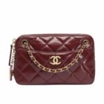 Chanel Mini Camera Case Burgundy 18Cm As5190 B18306 Nzv44