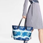 Louis Vuitton Neverfull MM Monogram Escale Blue 31Cm - Image 7