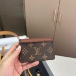 Gift Set: Louis Vuitton Carryall Pm Bag Monogram Canvas With Card Wallet And Dragonne Keychain - Image 6