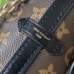 Louis Vuitton Carryall BB Monogram Brown 26Cm M26568 - Image 5