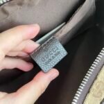 Gucci Gg Canvas Waistbag Beige Ebony 22Cm 449174 Ky9Kn 9886 - Image 6