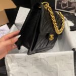 Chanel 23S Retro Backpack With Gold Hardware Black 22Cm - Image 5
