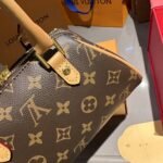 Louis Vuitton Tote Ribera Monogram 23Cm - Image 5
