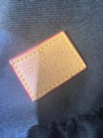 Louis Vuitton Rush Waist Bag Chocolate Color Monogram Craggy Canvas 30Cm M24858 - Image 2