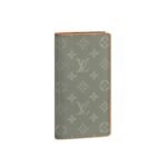 Louis Vuitton Brazza Wallet Grey 19Cm