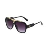 Louis Vuitton Black With Gold Metal Sunglasses