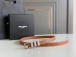Saint Laurent Black 3 Passants Belt Brown And Silver 3146292551 - Image 6