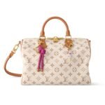 Louis Vuitton Speedy Soft 30 Lucky Bag Dune 30Cm M15108